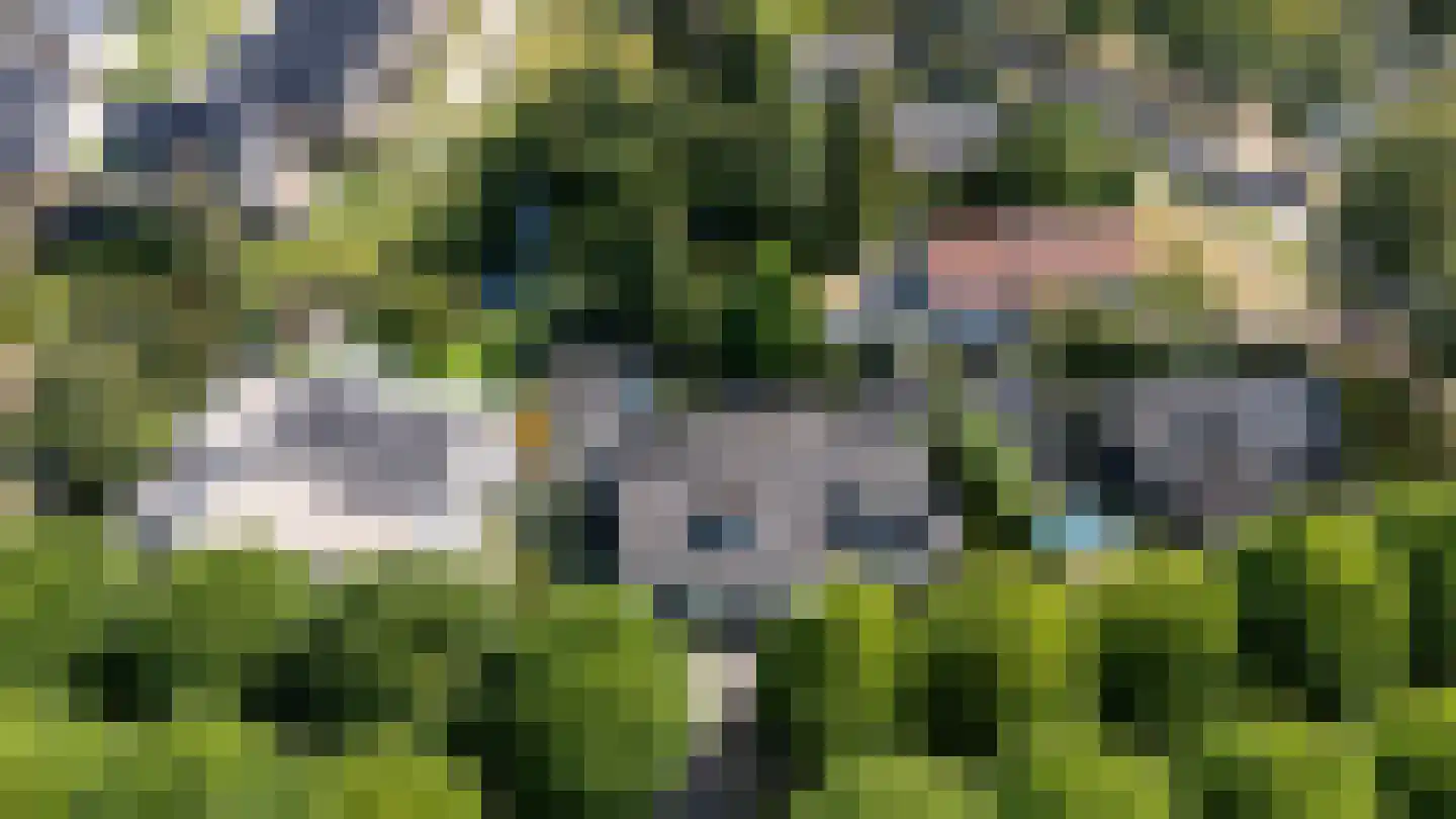 Patrijzenlaan 75 Oostvoorne thumbnail 63