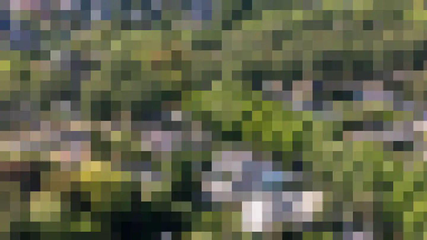 Patrijzenlaan 75 Oostvoorne thumbnail 64