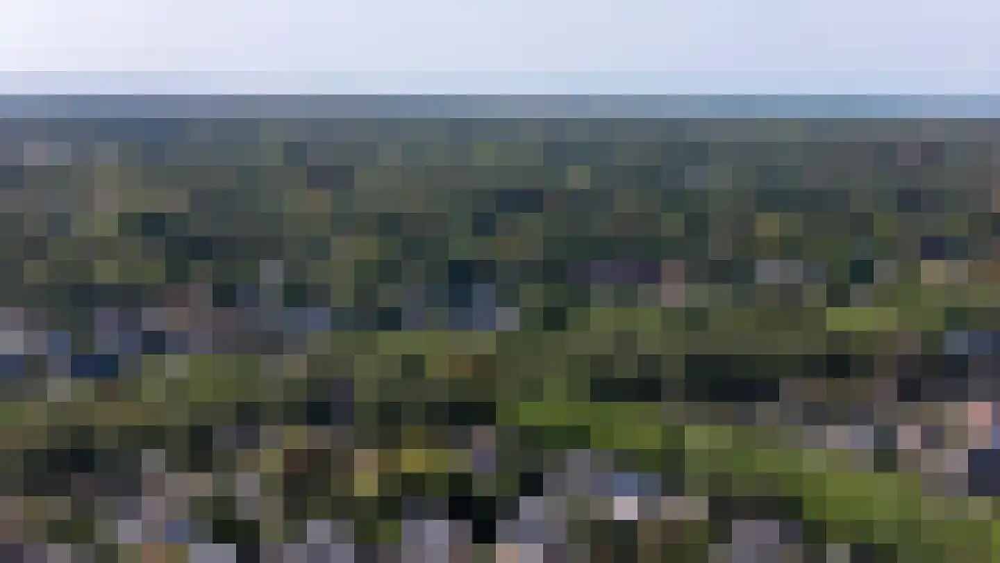 Patrijzenlaan 75 Oostvoorne thumbnail 65