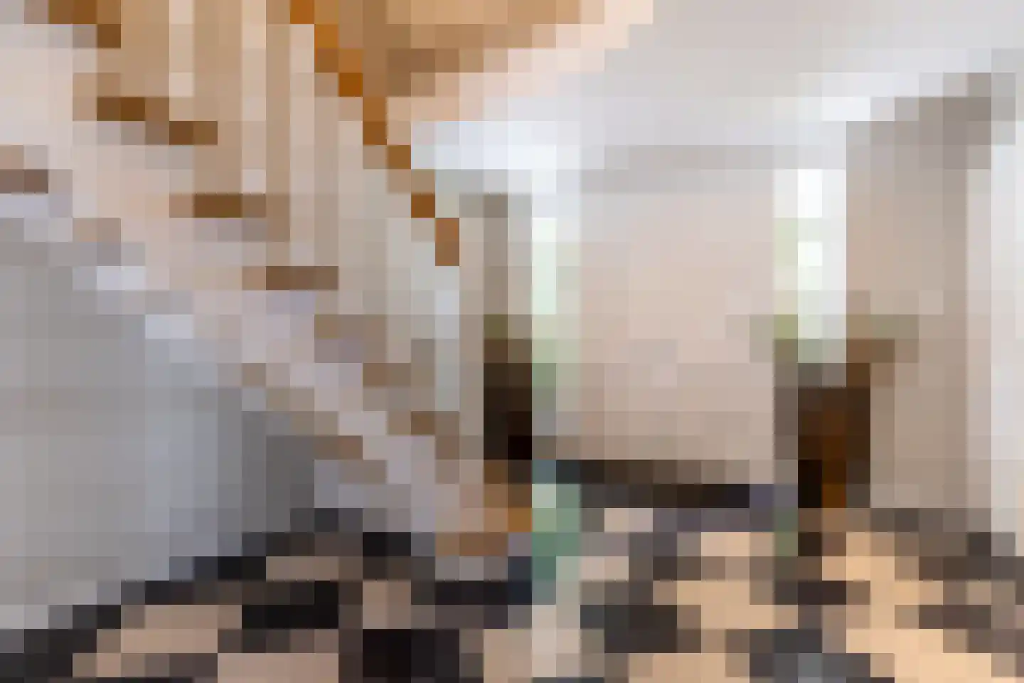Patrijzenlaan 75 Oostvoorne thumbnail 8