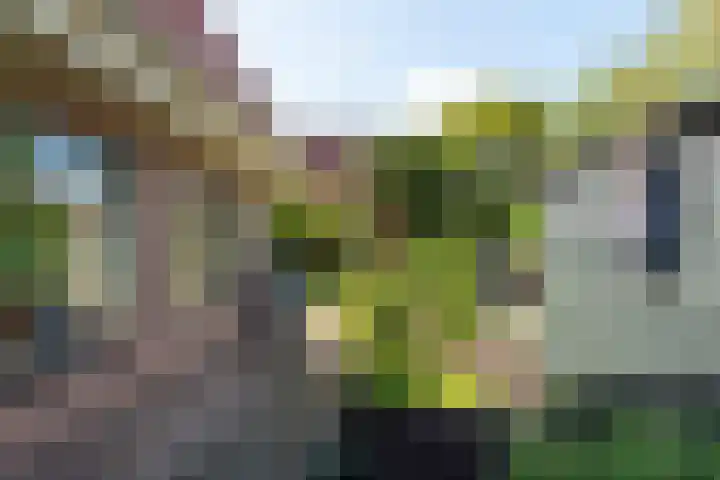 Patrijzenlaan 79 Wieringerwaard thumbnail 47