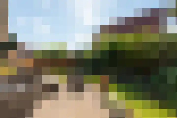 Patrijzenlaan 79 Wieringerwaard thumbnail 48