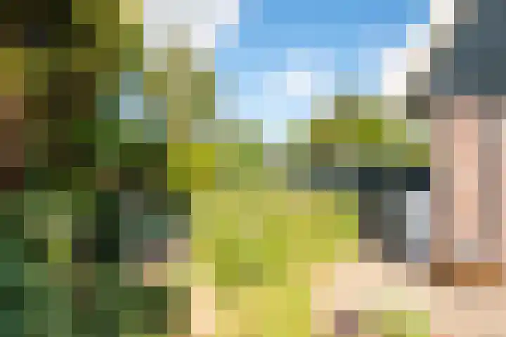 Patrijzenlaan 79 Wieringerwaard thumbnail 49