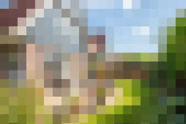 Patrijzenlaan 79 Wieringerwaard thumbnail 50