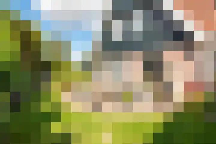 Patrijzenlaan 79 Wieringerwaard thumbnail 52