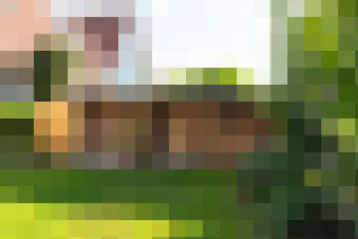Patrijzenlaan 79 Wieringerwaard thumbnail 53