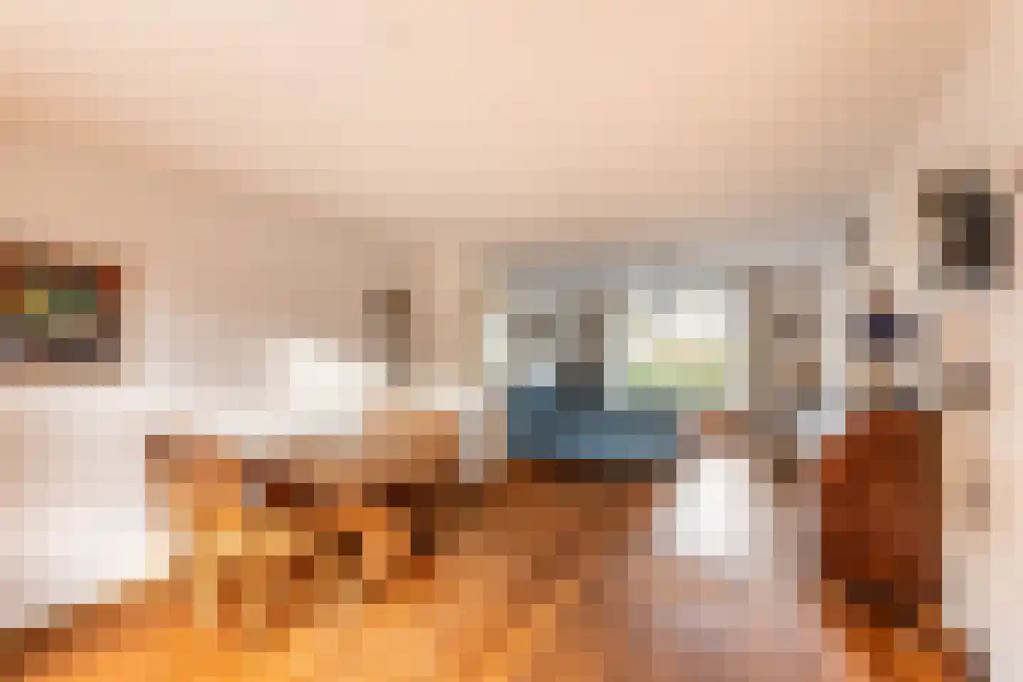 Patrijzenlaan 9 Heemstede thumbnail 11