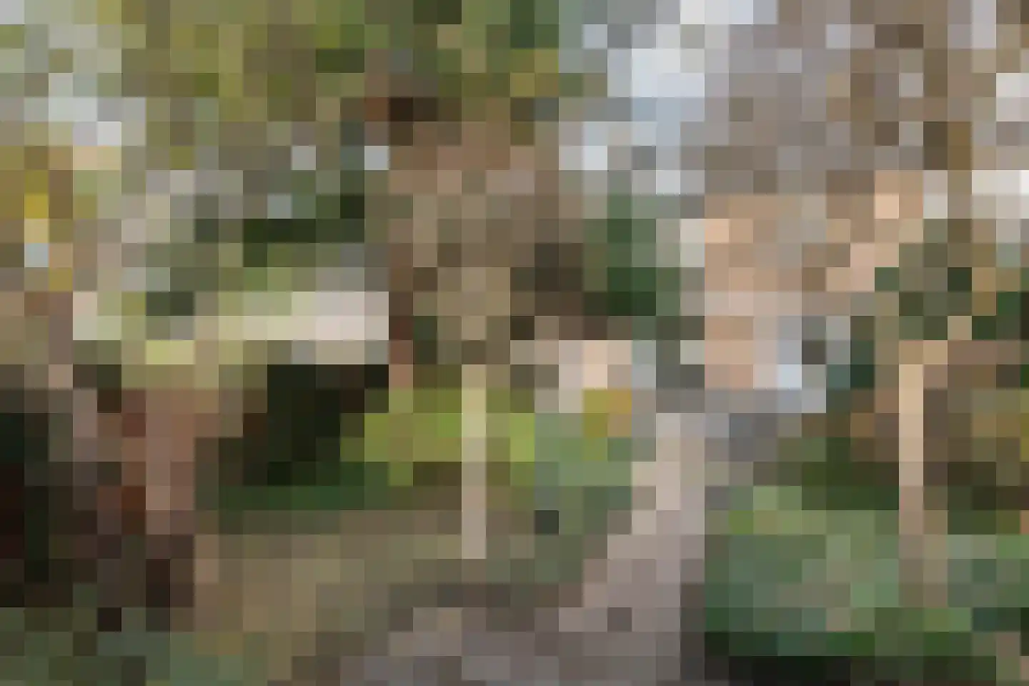 Patrijzenlaan 9 Heemstede thumbnail 18