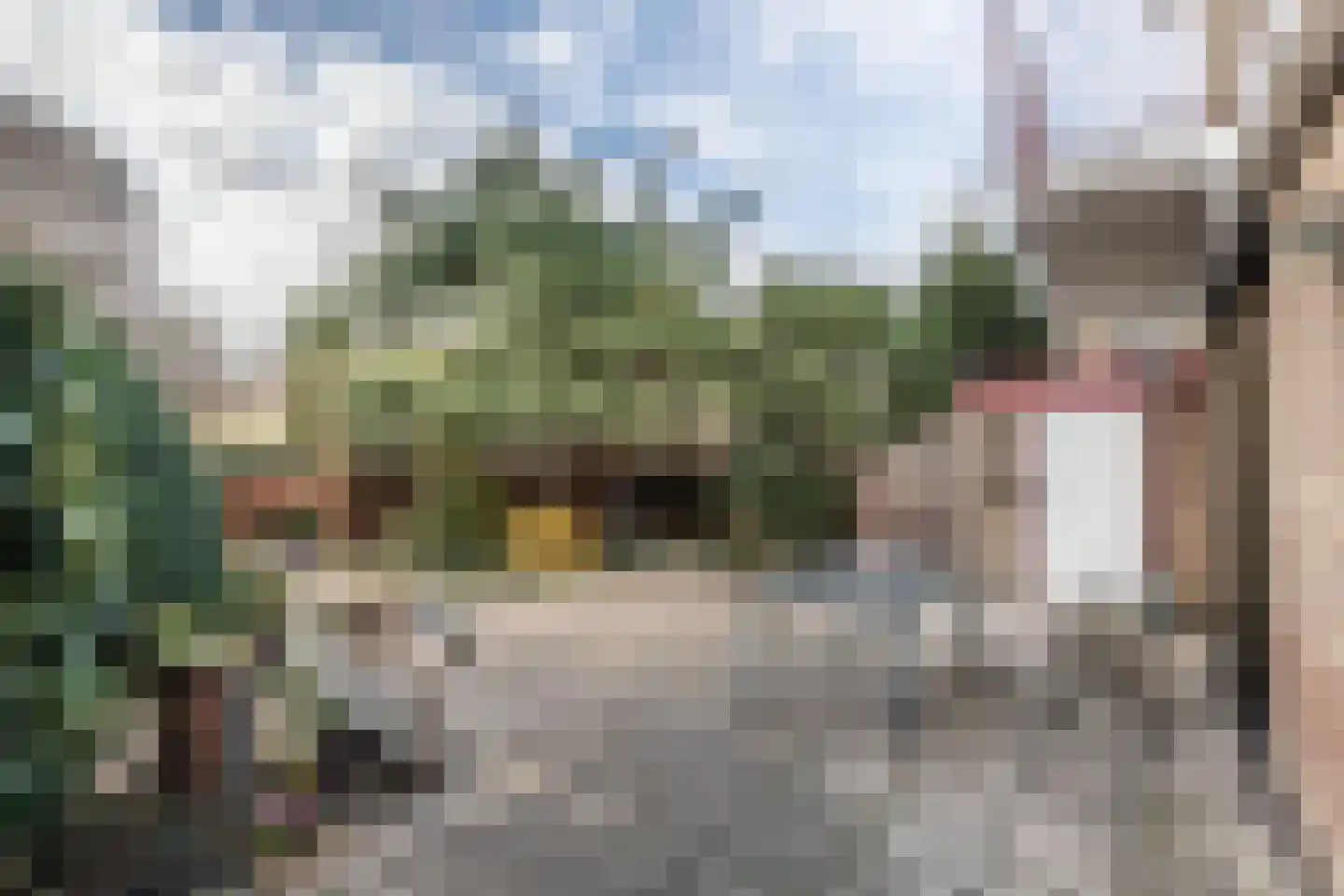 Patrijzenlaan 9 Heemstede thumbnail 20
