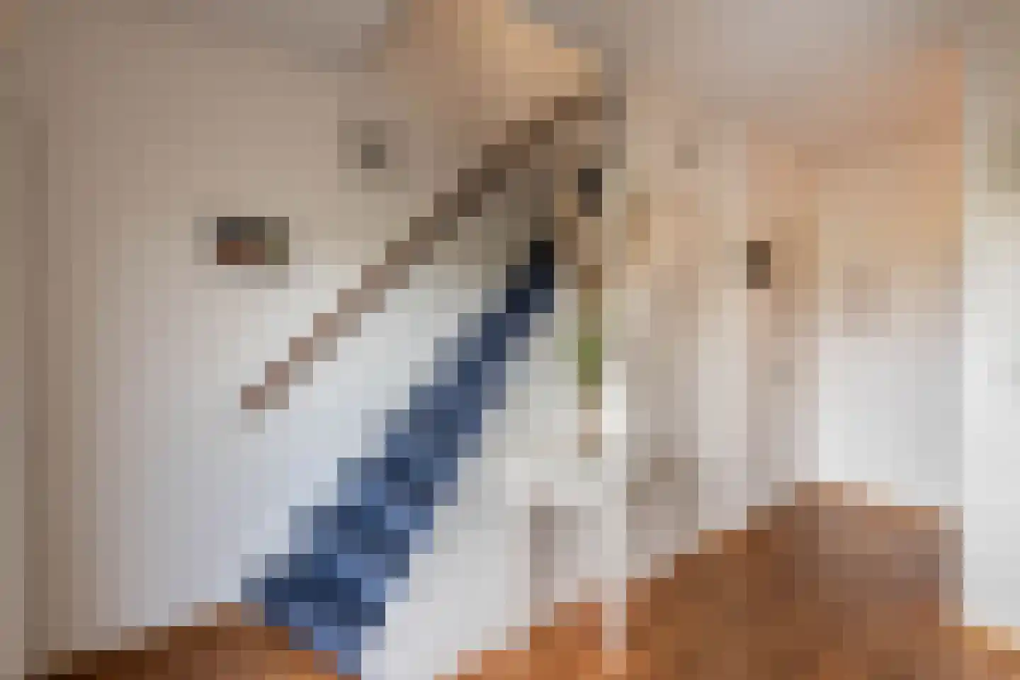 Patrijzenlaan 9 Heemstede thumbnail 4