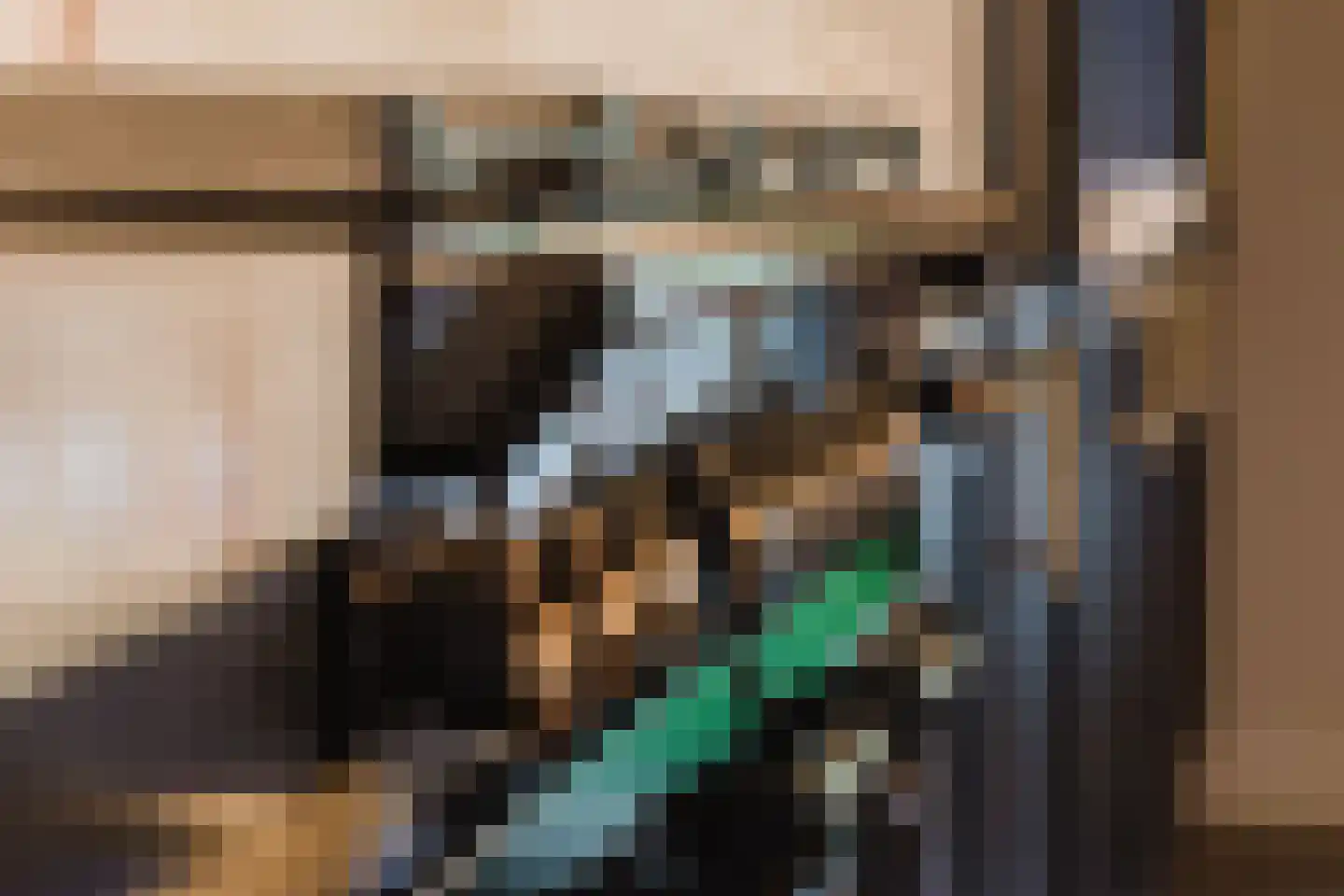 Patrijzenlaar 10 Bavel thumbnail 11