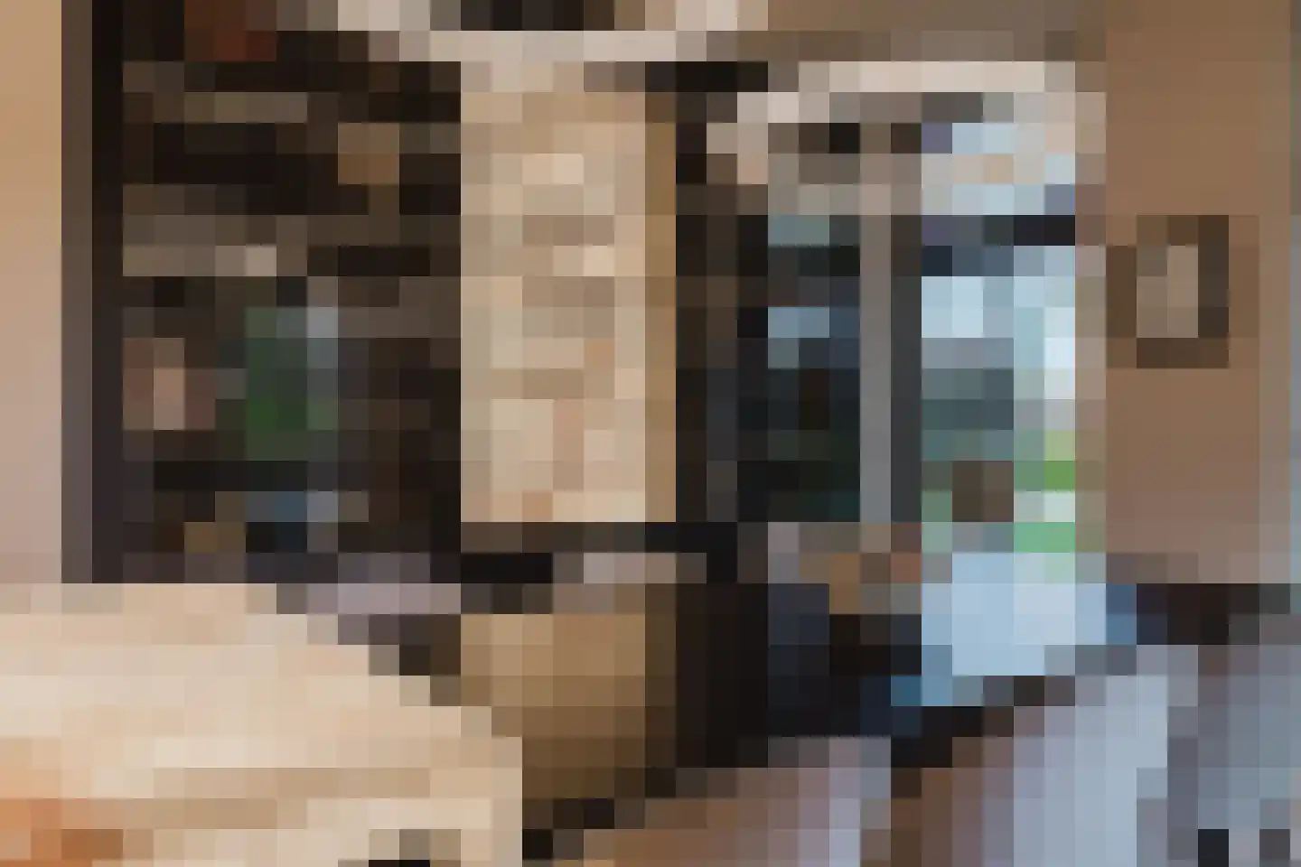 Patrijzenlaar 10 Bavel thumbnail 13
