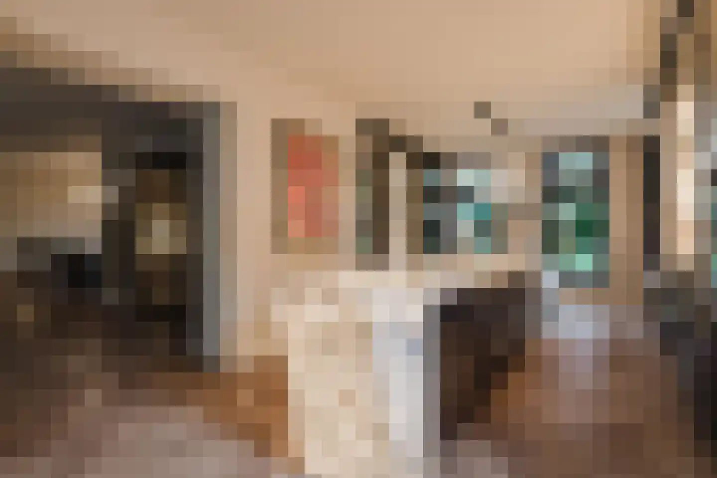 Patrijzenlaar 10 Bavel thumbnail 14