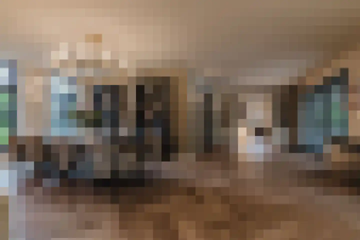 Patrijzenlaar 10 Bavel thumbnail 15