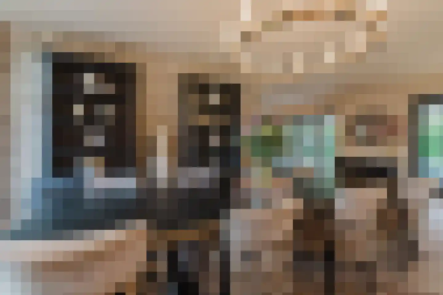 Patrijzenlaar 10 Bavel thumbnail 17