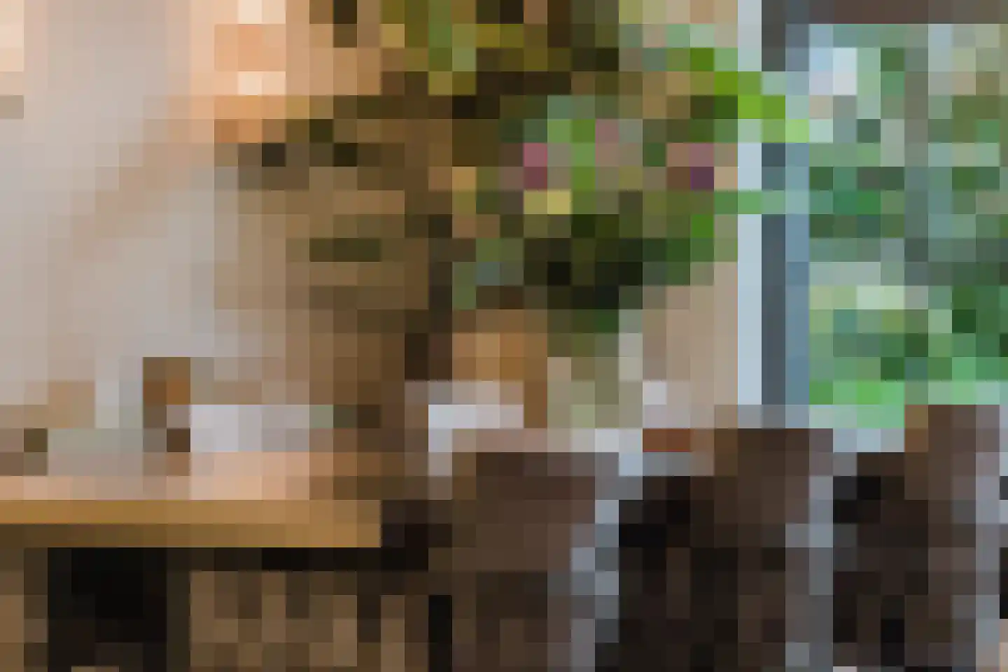 Patrijzenlaar 10 Bavel thumbnail 18