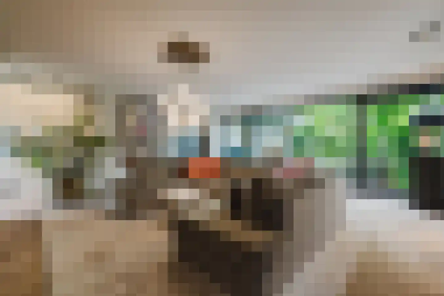 Patrijzenlaar 10 Bavel thumbnail 22