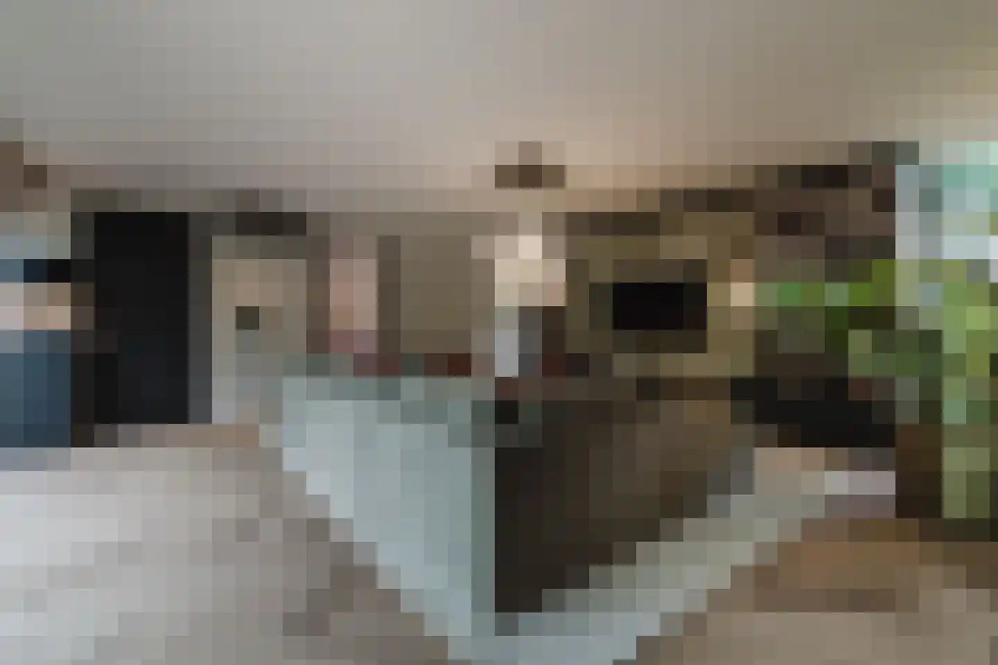 Patrijzenlaar 10 Bavel thumbnail 24