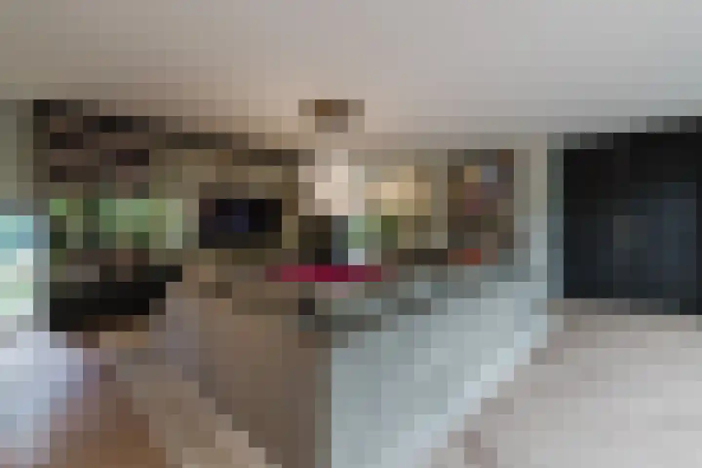 Patrijzenlaar 10 Bavel thumbnail 25
