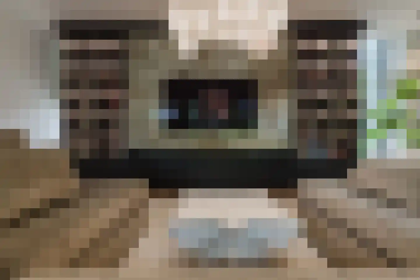 Patrijzenlaar 10 Bavel thumbnail 26