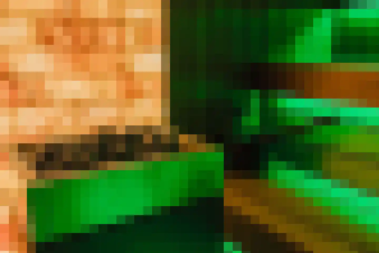 Patrijzenlaar 10 Bavel thumbnail 34