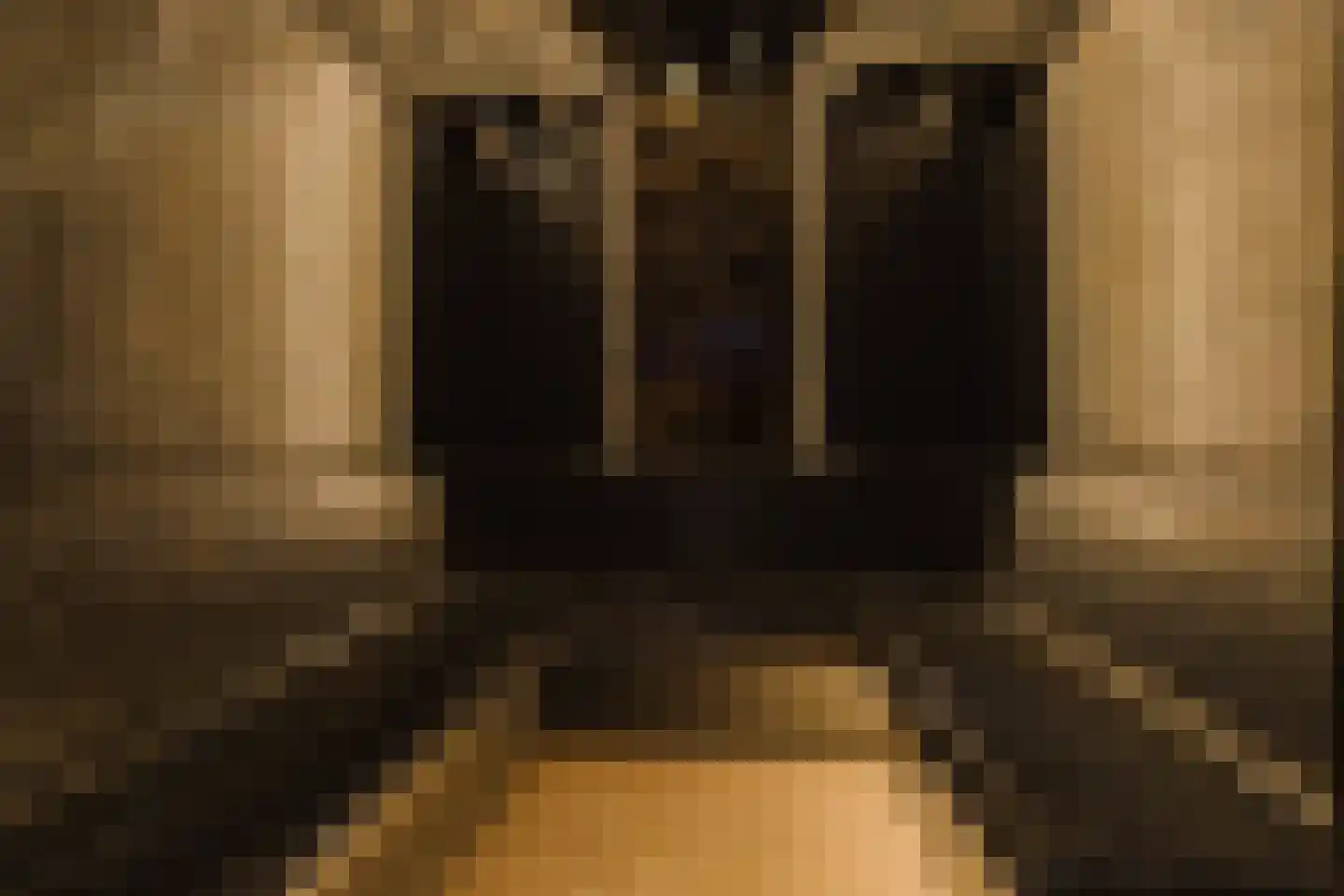 Patrijzenlaar 10 Bavel thumbnail 35