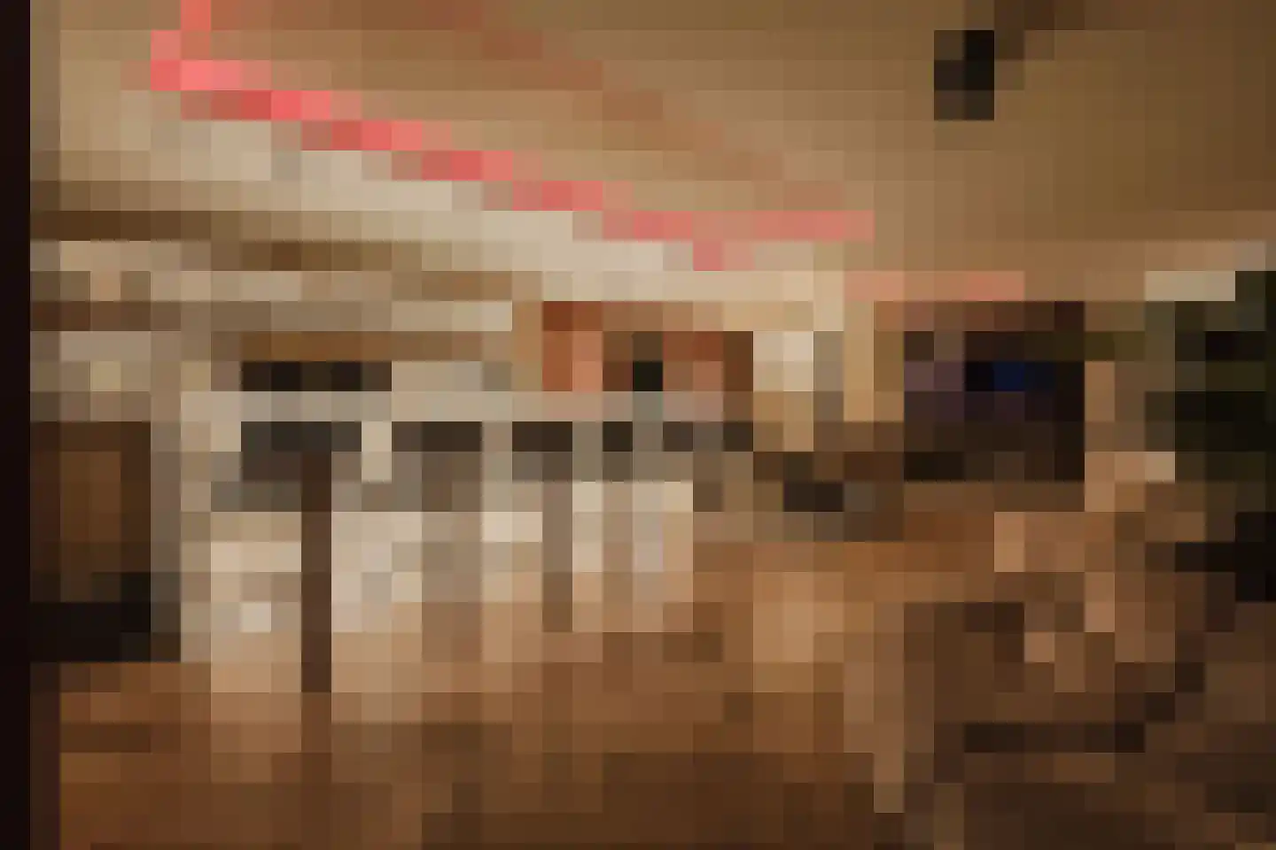 Patrijzenlaar 10 Bavel thumbnail 36