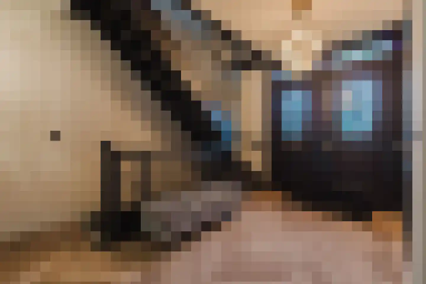 Patrijzenlaar 10 Bavel thumbnail 4