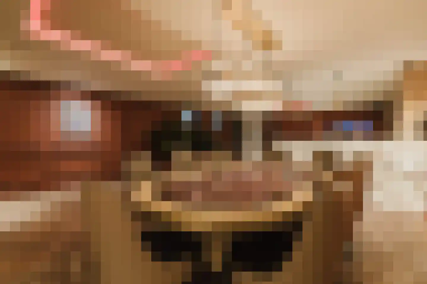 Patrijzenlaar 10 Bavel thumbnail 40