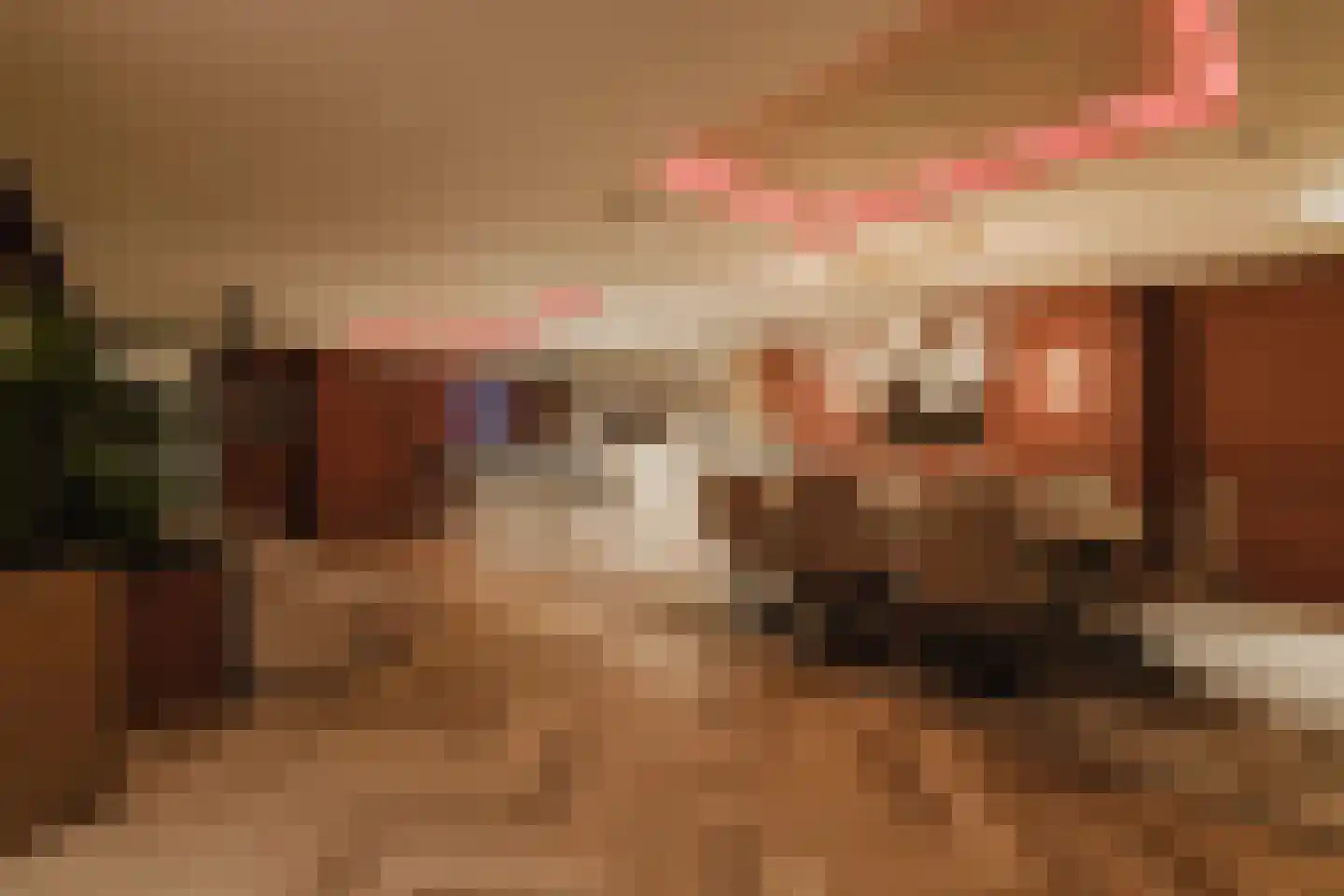 Patrijzenlaar 10 Bavel thumbnail 41