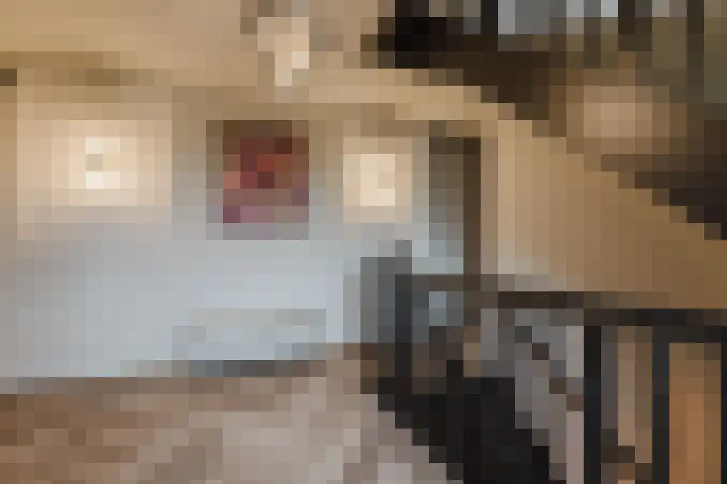 Patrijzenlaar 10 Bavel thumbnail 43