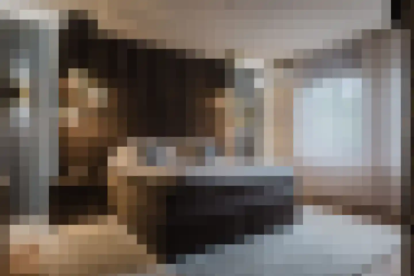 Patrijzenlaar 10 Bavel thumbnail 46