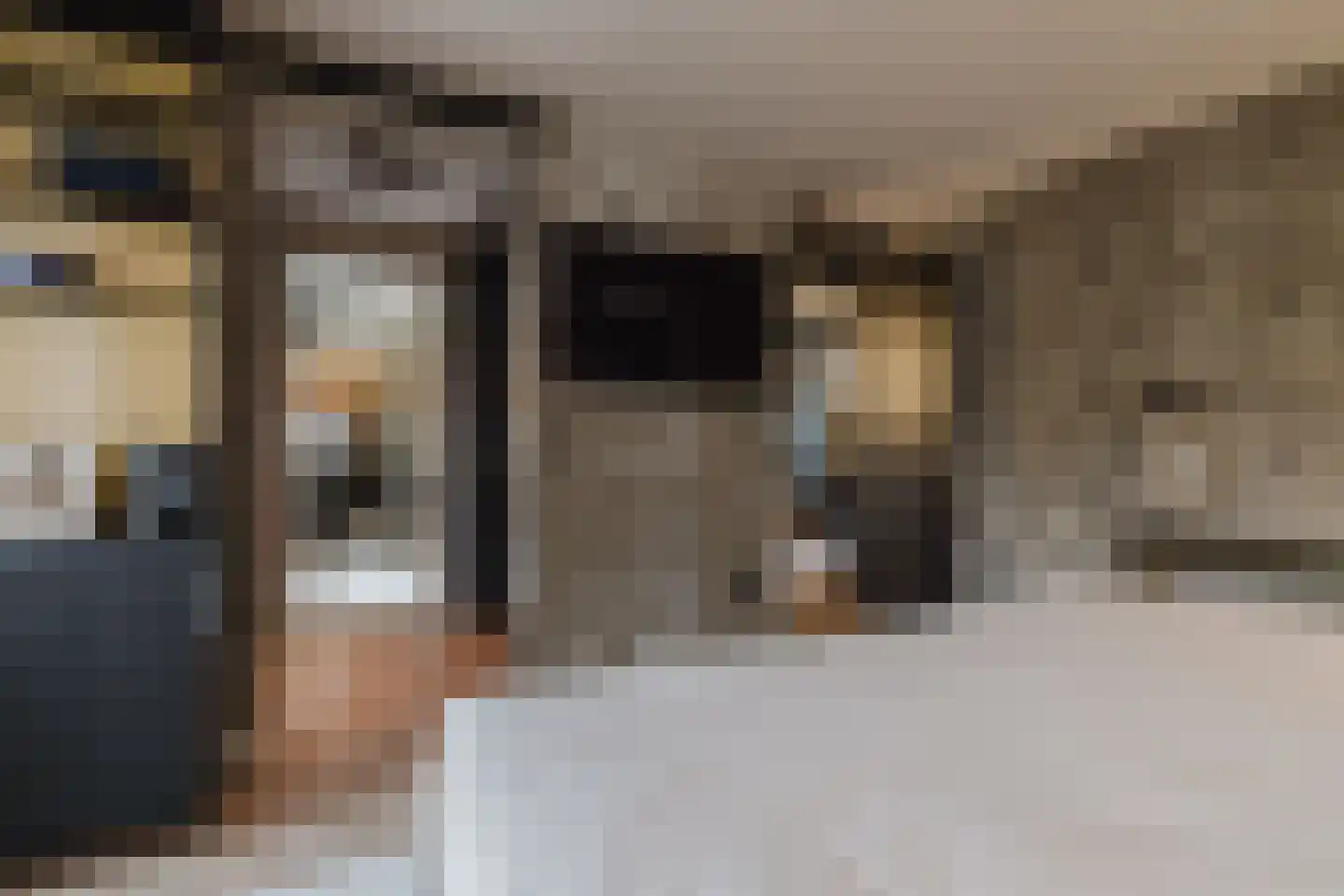 Patrijzenlaar 10 Bavel thumbnail 47