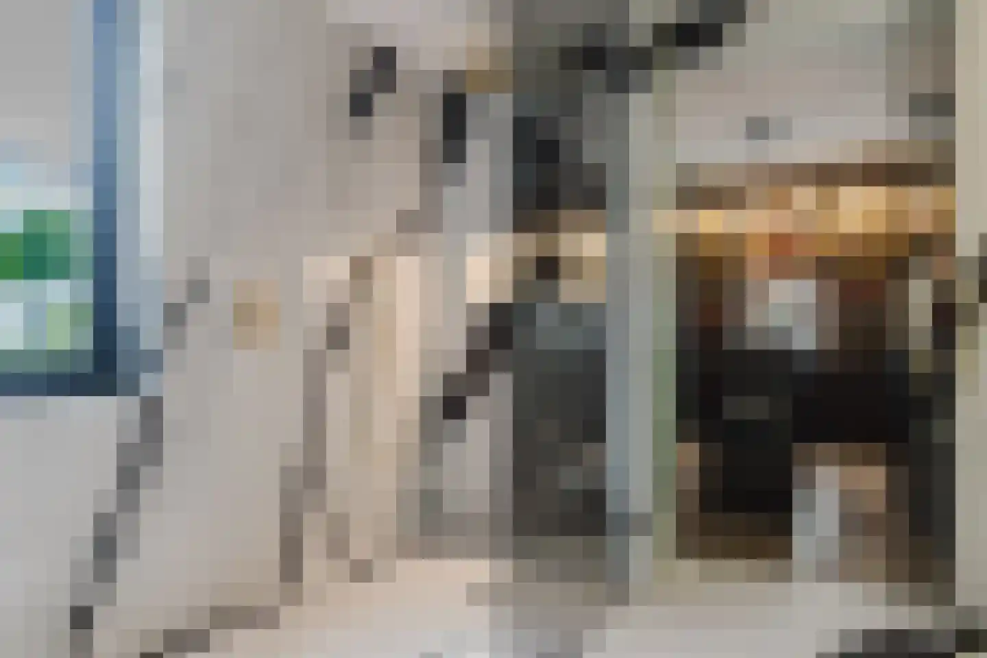 Patrijzenlaar 10 Bavel thumbnail 48