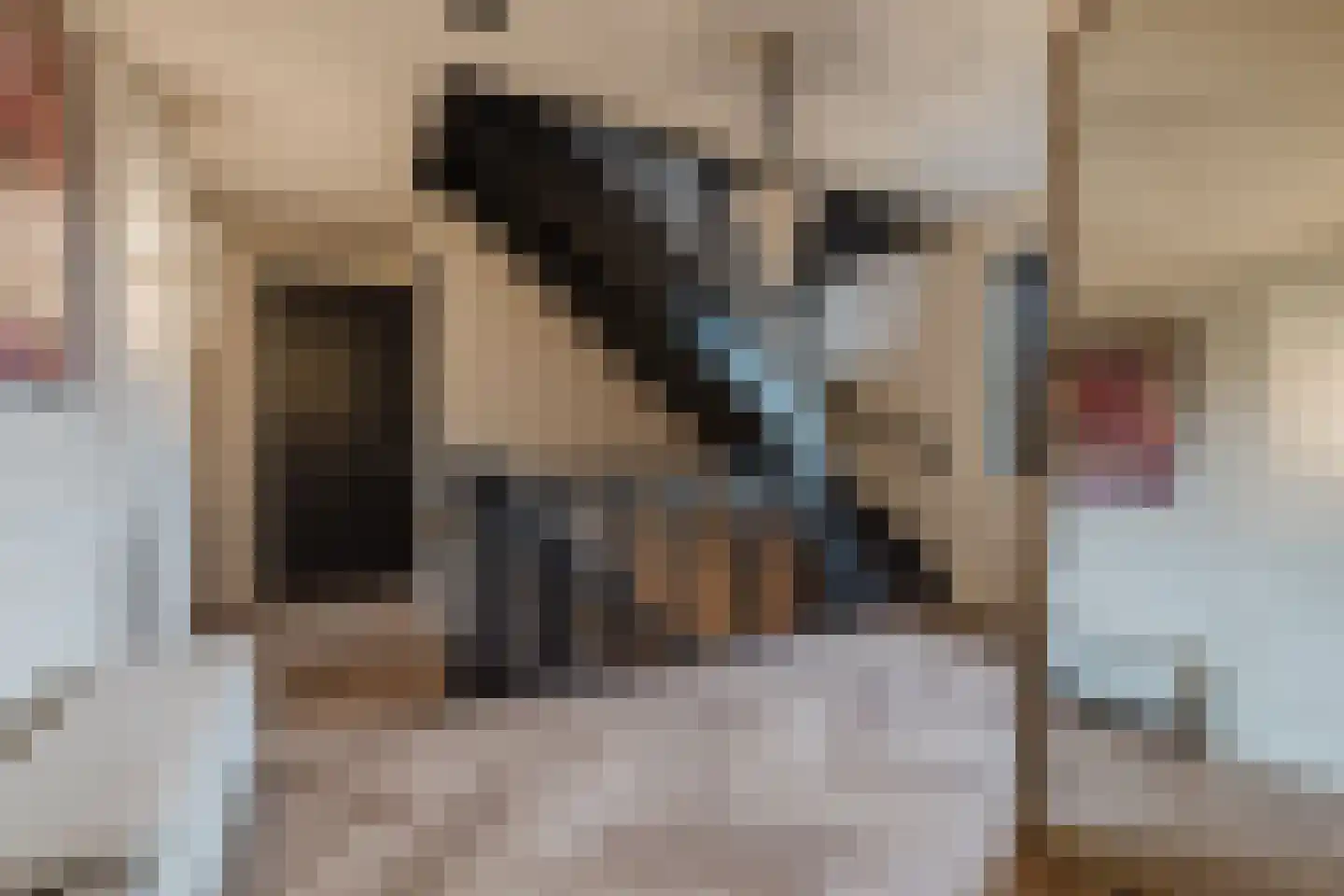 Patrijzenlaar 10 Bavel thumbnail 60