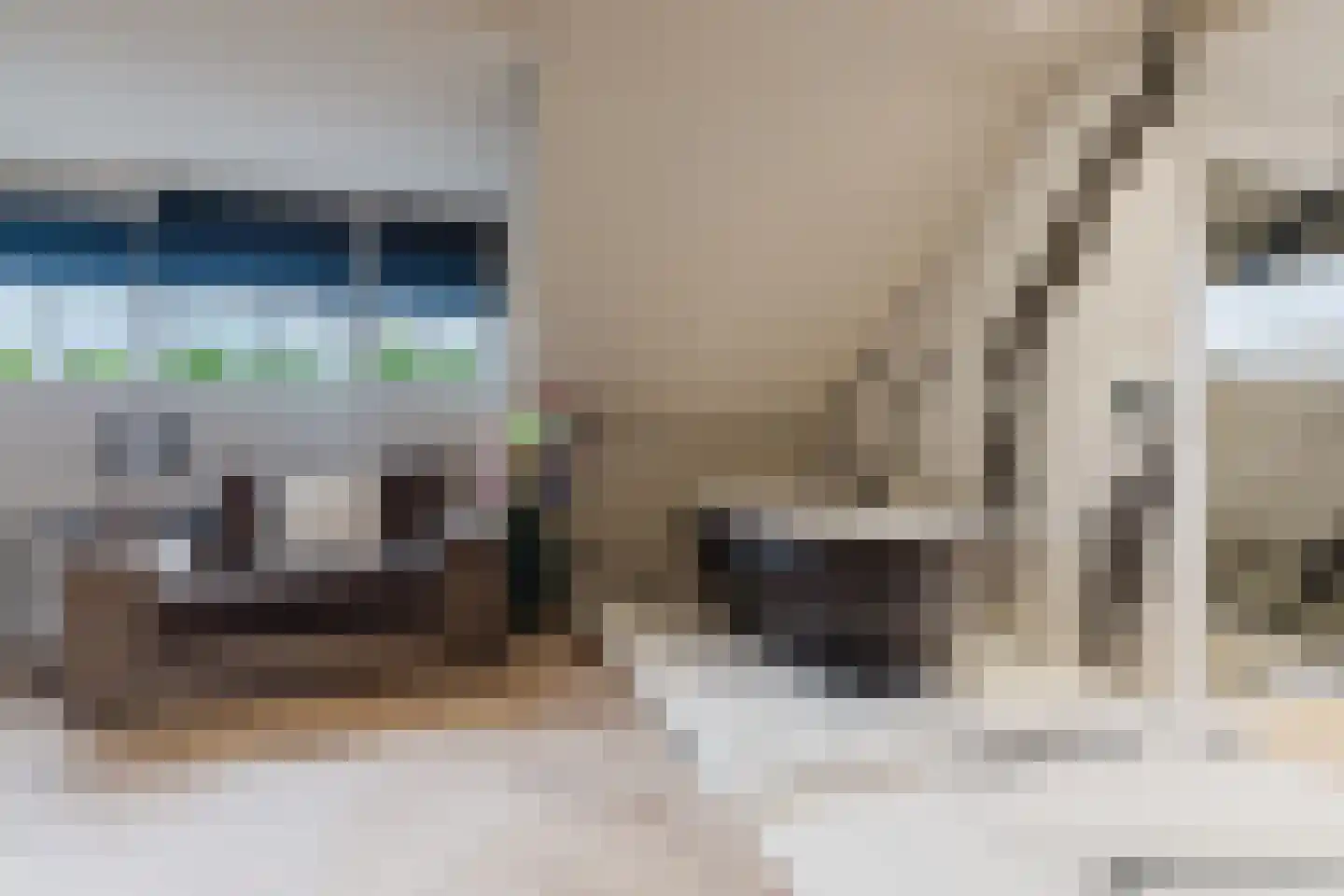 Patrijzenlaar 10 Bavel thumbnail 61