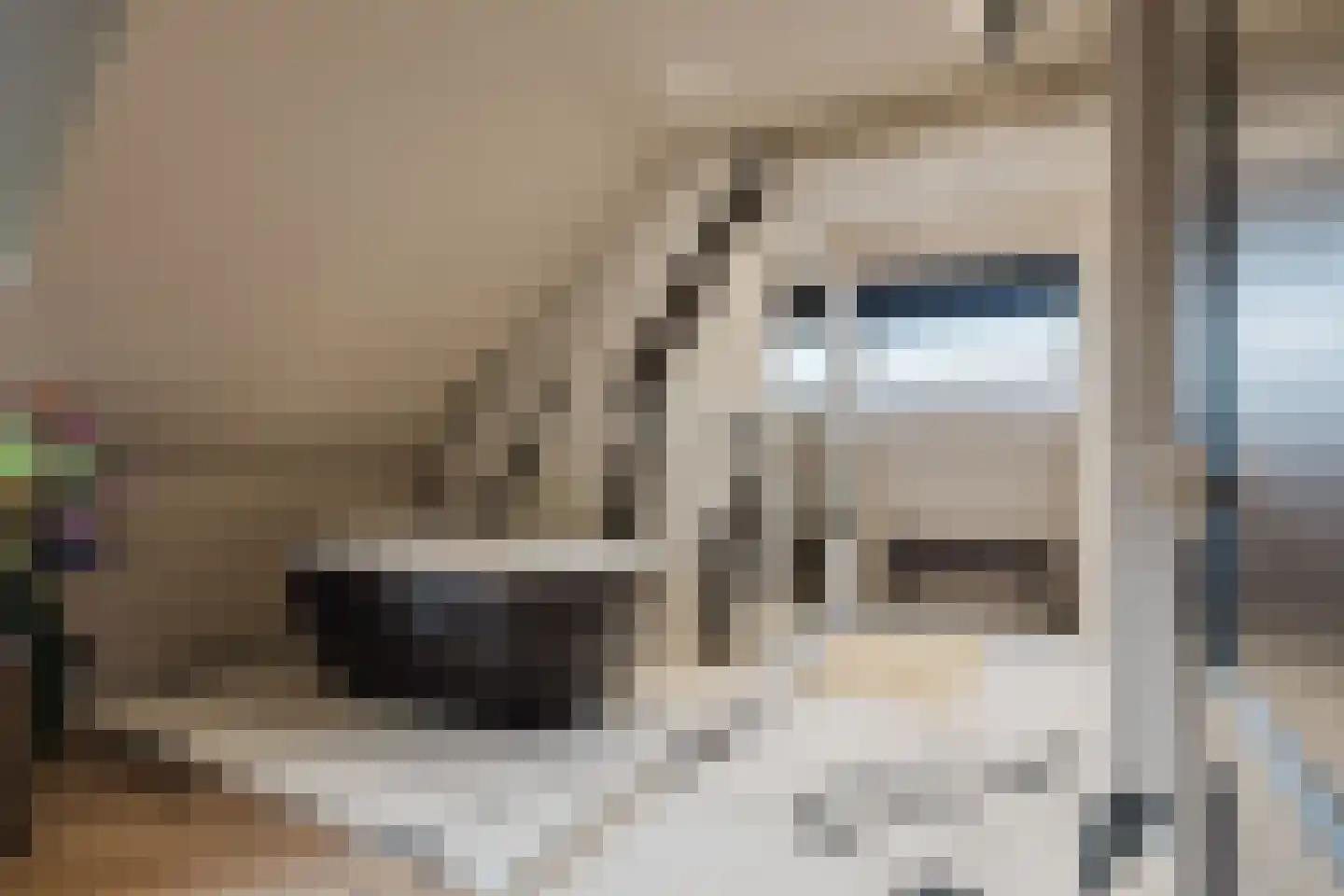 Patrijzenlaar 10 Bavel thumbnail 62
