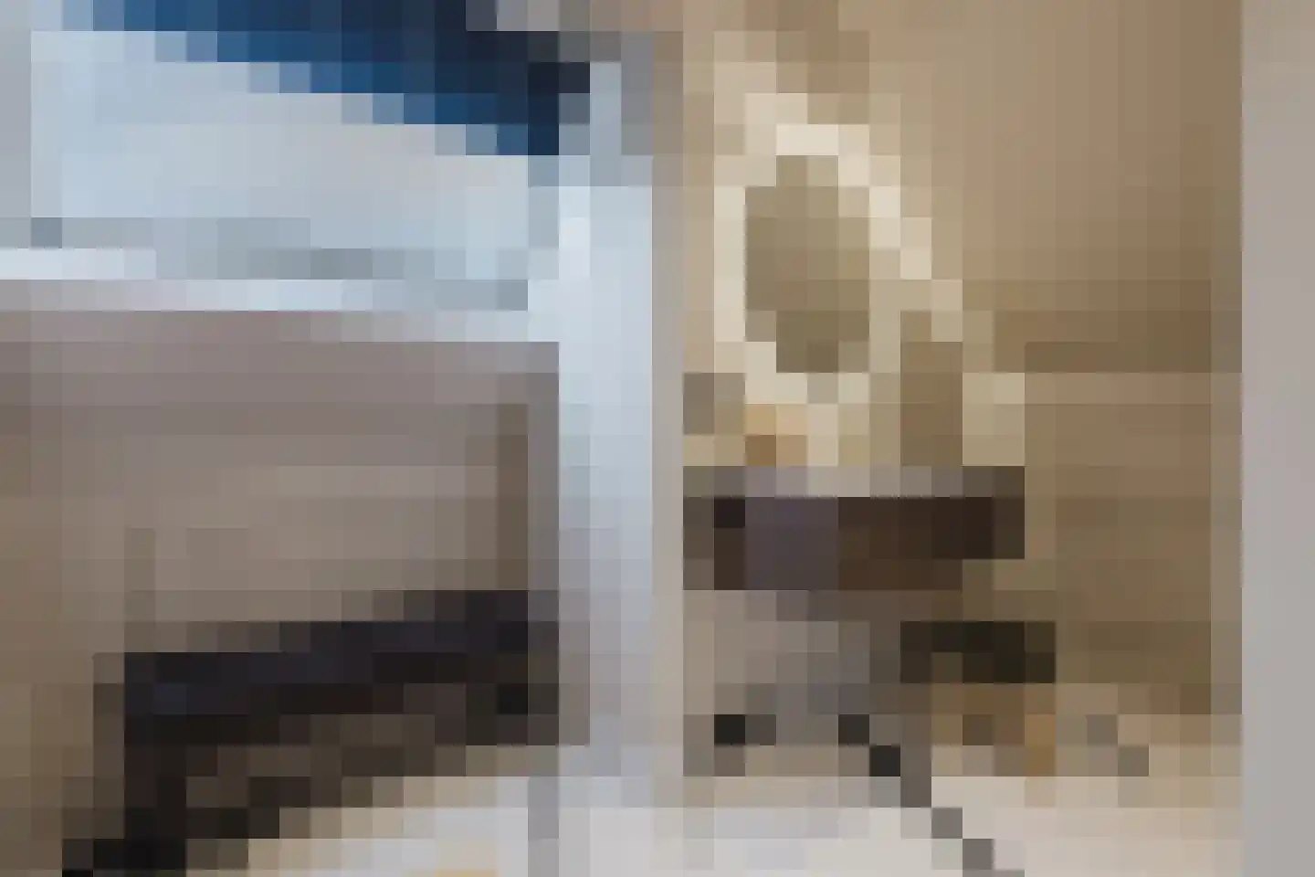 Patrijzenlaar 10 Bavel thumbnail 63