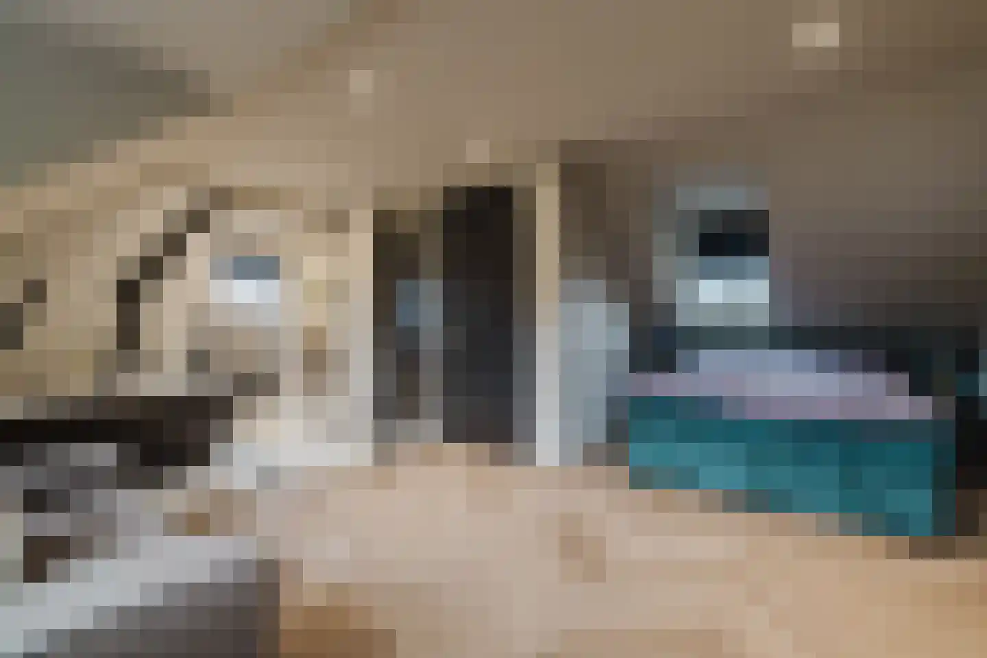 Patrijzenlaar 10 Bavel thumbnail 64