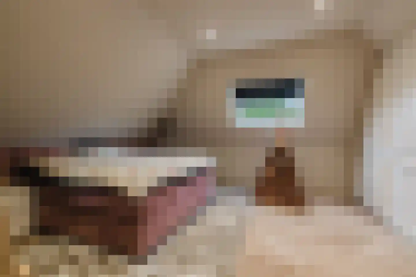 Patrijzenlaar 10 Bavel thumbnail 65