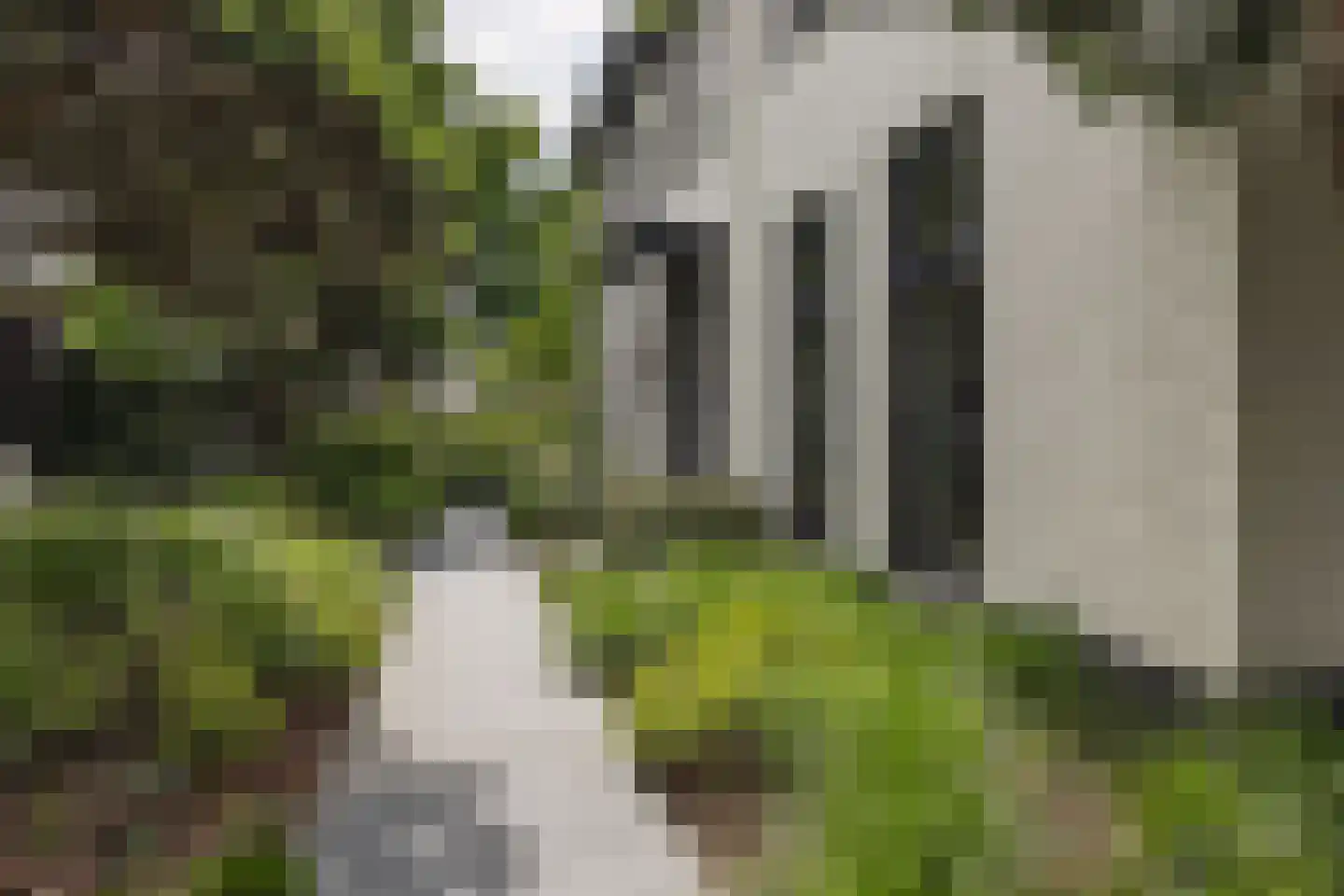 Patrijzenlaar 10 Bavel thumbnail 69