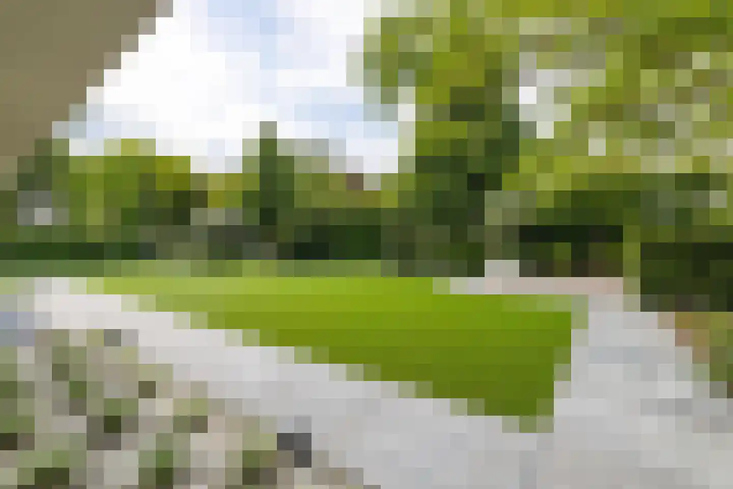 Patrijzenlaar 10 Bavel thumbnail 78