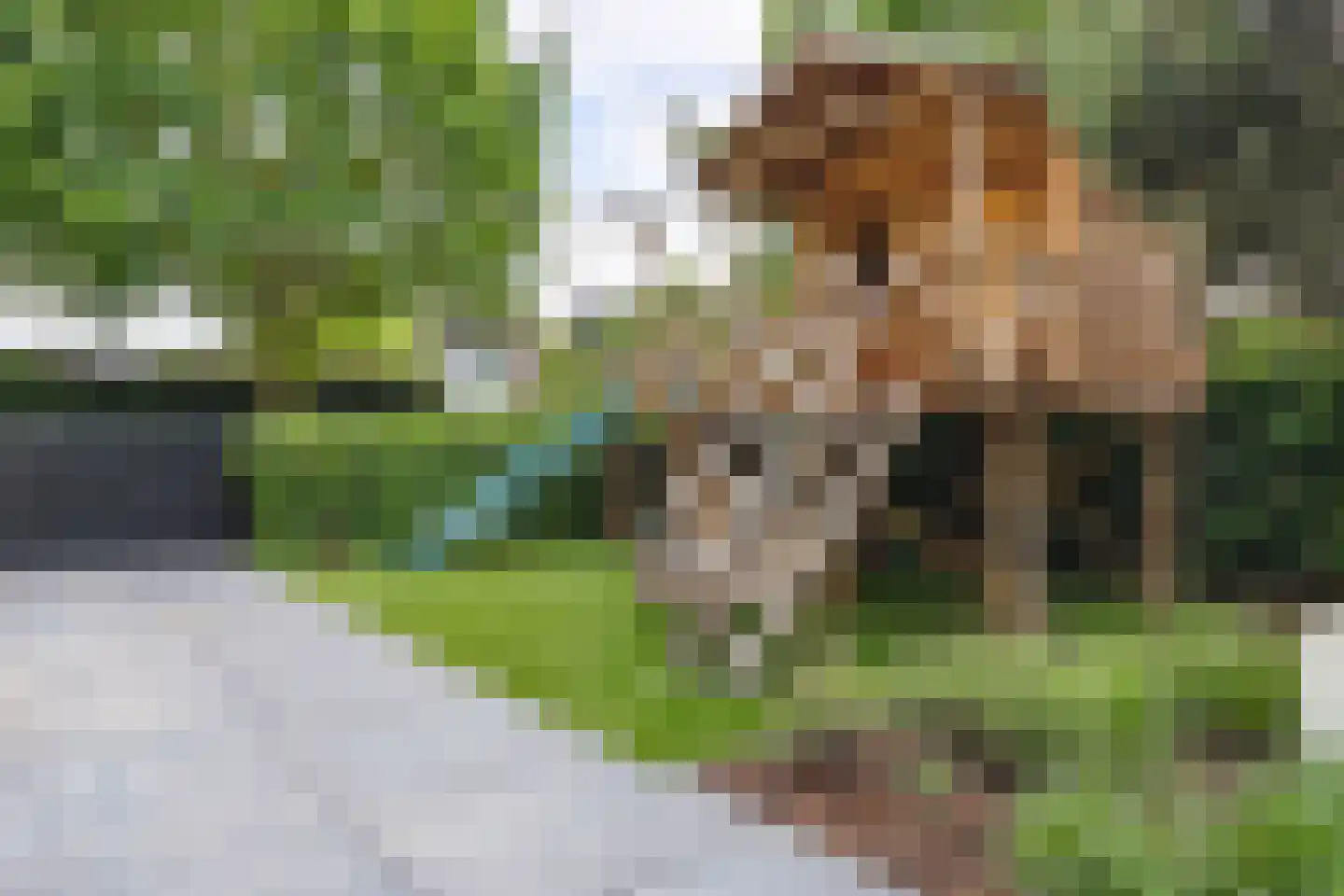 Patrijzenlaar 10 Bavel thumbnail 79