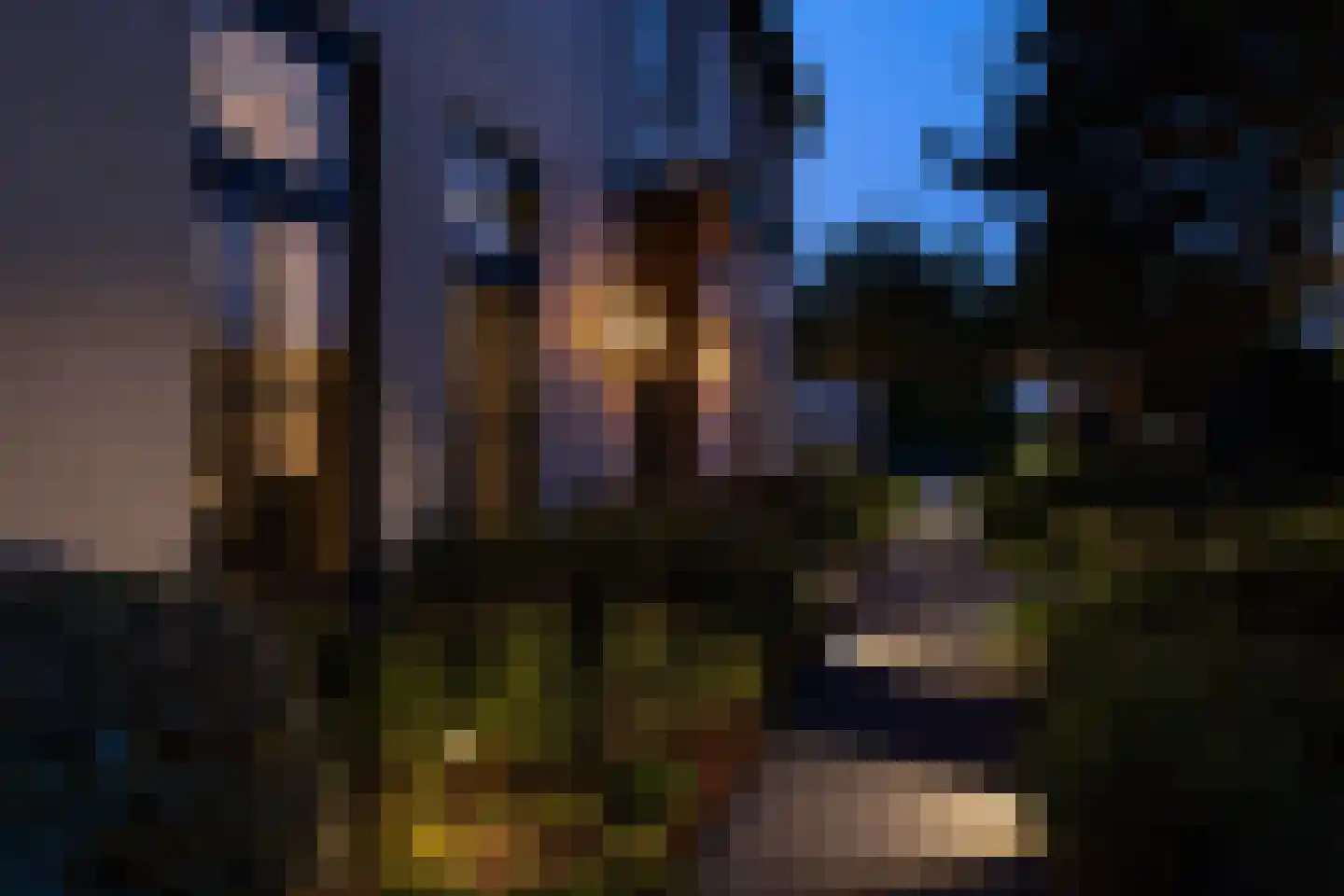 Patrijzenlaar 10 Bavel thumbnail 85