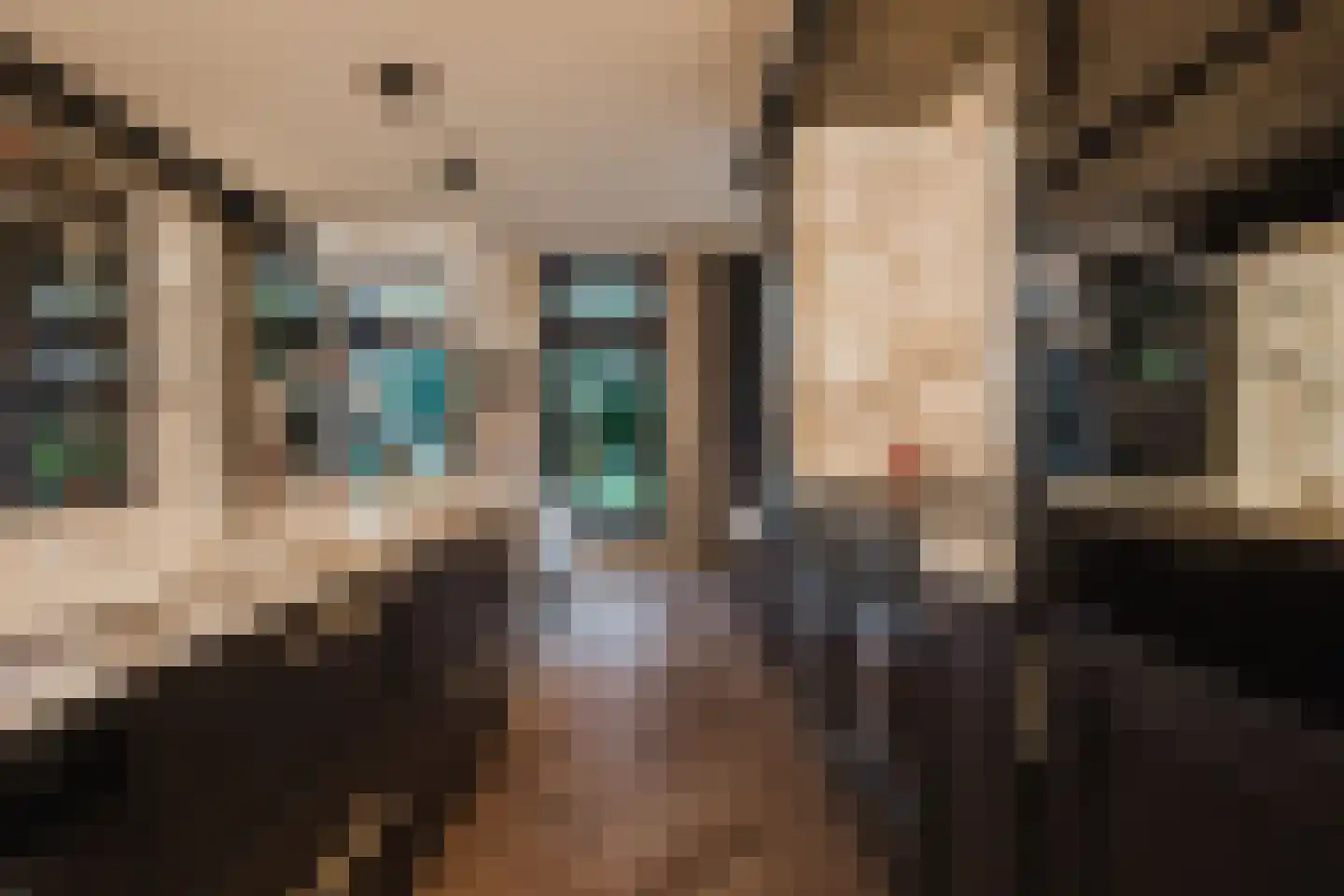 Patrijzenlaar 10 Bavel thumbnail 9