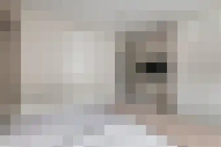 Patrijzennest 1 a Gorinchem thumbnail 12