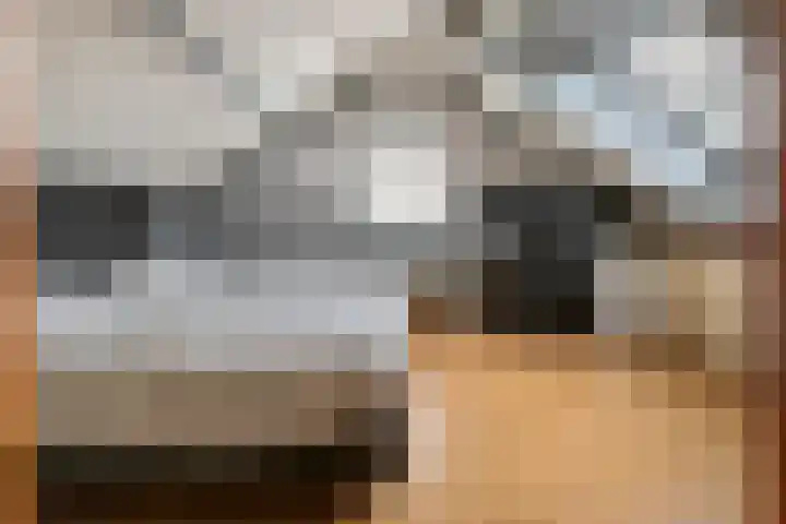 Patrijzennest 1 a Gorinchem thumbnail 22