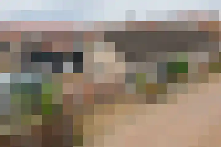 Patrijzennest 1 a Gorinchem thumbnail 26