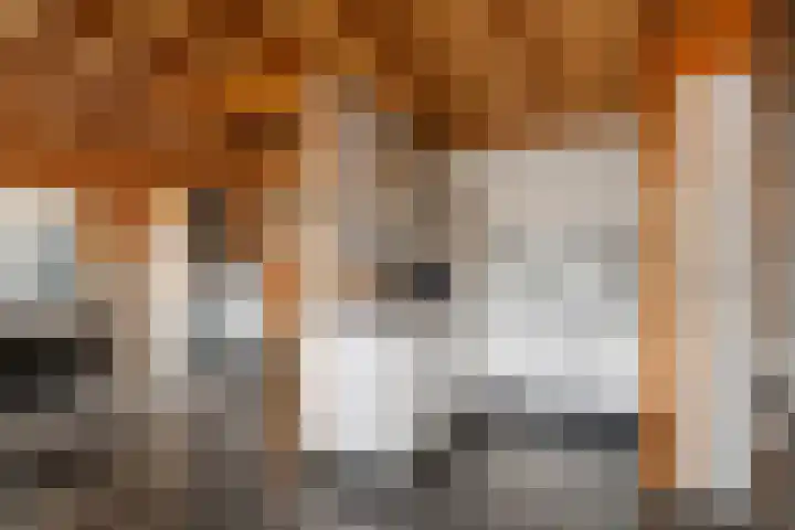 Patrijzennest 1 a Gorinchem thumbnail 28