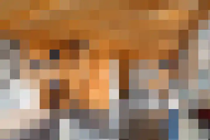 Patrijzennest 1 a Gorinchem thumbnail 30